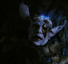 Talk about a SPLITTING HEADACHE! Yuk, yuk, yuk.....