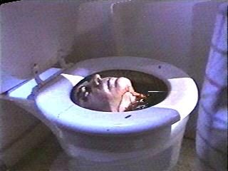 In this movie, the gags fall in the toilet - in more way than one